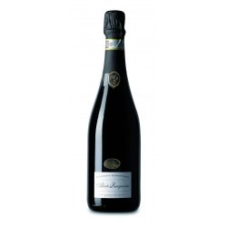 Vernaccia di Serrapetrona DOCG Secco Quacquarini Vino Rosso 1 Bottiglia CL 75