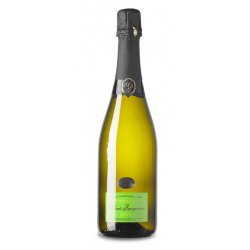 Spumante Brut Alberto Quacquarini Metodo Charmat Vino Bianco 1 Bottiglia CL 75