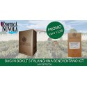 Bag in Box Falanghina Beneventano IGT La Fortezza LT 5