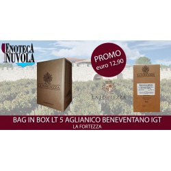 Bag in Box Aglianico Beneventano IGT La Fortezza LT 5