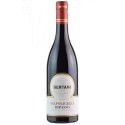 Valpolicella Ripasso DOC Bertani